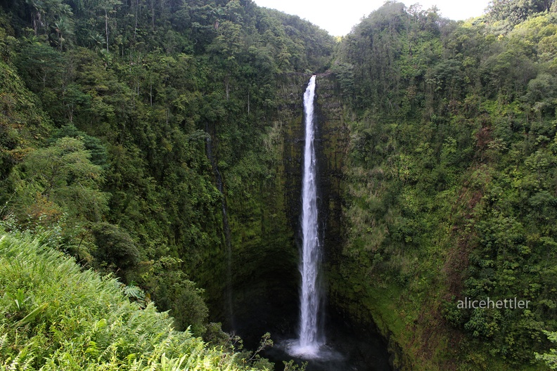 Big island-akaka falls.JPG